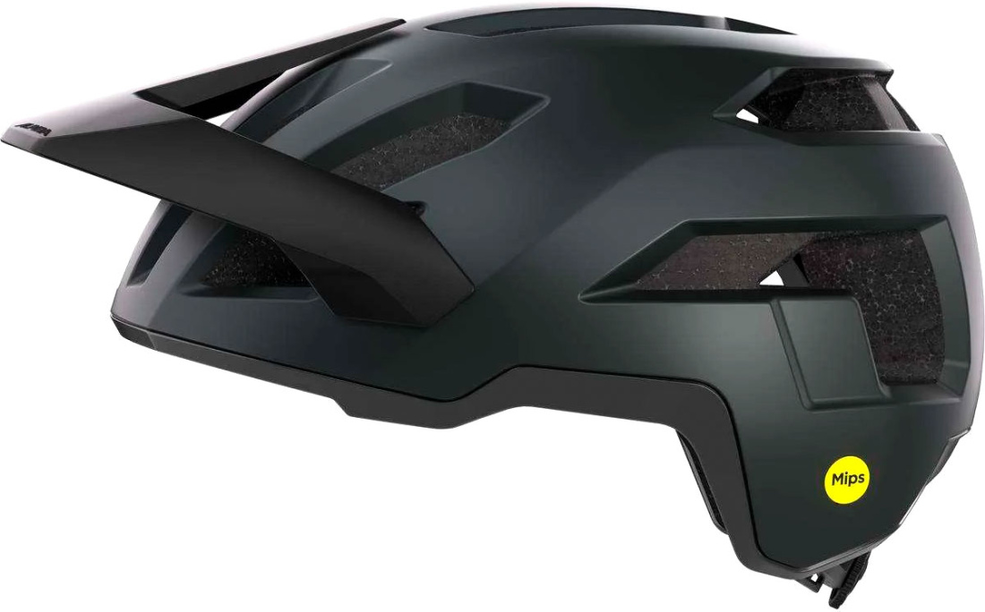 Шлем ALPINA Taunus Mips Black Matt