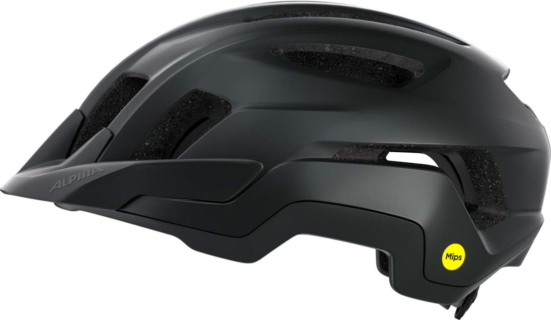 Шлем ALPINA Paranus Mips Black-Midnight/Grey Matt